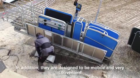 Amazing Sheep Farming Equipment Technology - Modern Automatic Sheep Farm Tool You May Never Seen