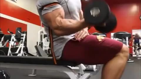 The best biceps exercises