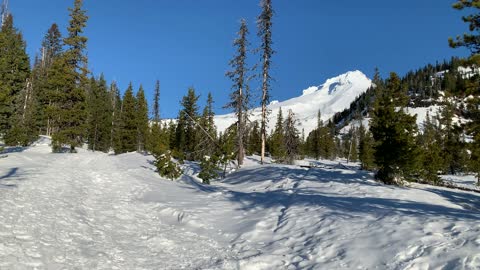 Beautiful Snowy Alpine Day – White River West Sno Park – Mount Hood – Oregon – 4K