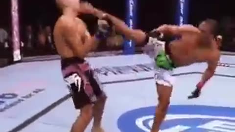 BRUTAL spinning kick KNOCKOUT!