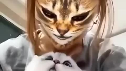 Funny cat reactions to cat filter
