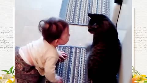 Baby and Cat Fun and Cute #3