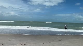 Shark tooth hunter ravaged by waves after tropical storm