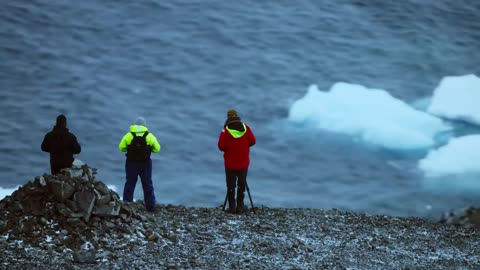 What Does It Take To Be A Blue Planet II Cameraman? #OurBluePlanet | BBC Earth