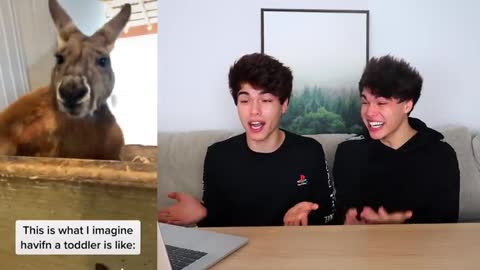 TIKTOKS that are actually FUNNY2021