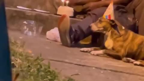 Homeless Man Celebrates Dog's Birthday