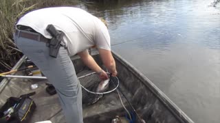 A redfish fishing trip in South Carolina