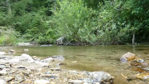 Relaxing River - Ultra HD Nature Video - Water Stream - Sleep Study Meditate Relax