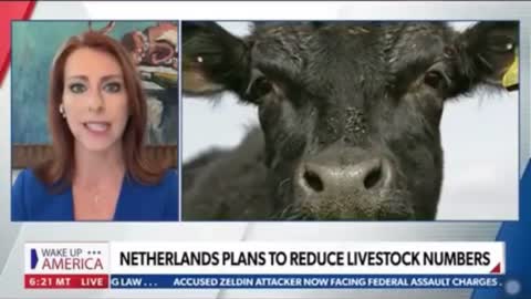 Mandy Gunasekara truth bombing about the Dutch farmer protests