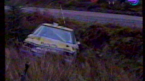 MS Rallye 1991 - souhrn