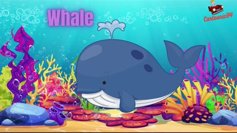 Sea Animal Sounds | Whale