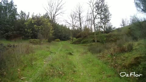 Driving in farm Fazenda Mondego - Music, Still