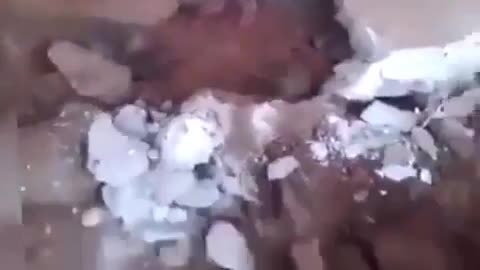 Bricklayers Find a Nest Full of Rats on the Job