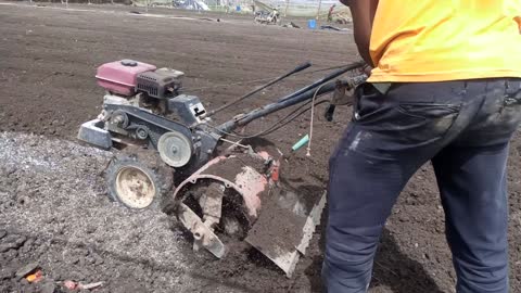 Chop the land to prepare to grow vegetables