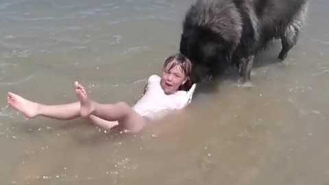 Dog saves his little girl