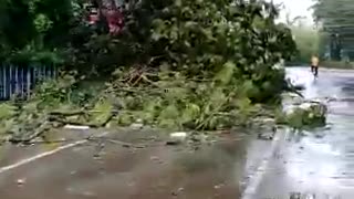 Park Street Kolkata, today morning