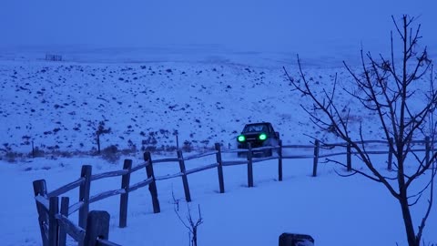 Playing in the snow