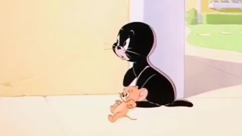 Tom and Jerry cartoons