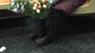 Glasses woman prunes flowers on subway