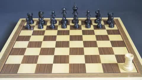 learning chess moves for beginners