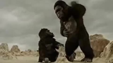 Two Giant Gorilla plays the car