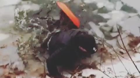 Man sleds down on hills into frozen lake, ice breaks and he falls into lake