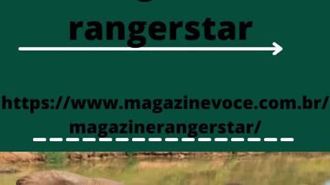 Verde e Rosa Logo Minimalista.mp4 estrategia zazzle loja rangerstar