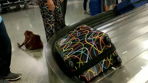 Traveler's Luggage Matches Trousers