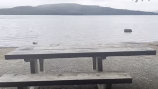 Shoreline Snack Spot – Timothy Lake – Mount Hood – Oregon – 4K