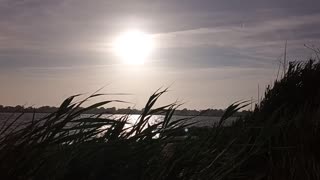 Out on the marsh