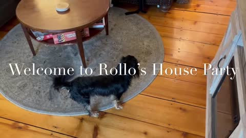Introducing Rollo