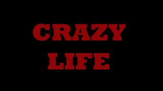 Crazy Life