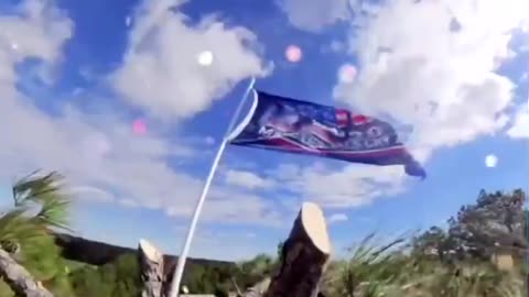 EXCLUSIVE FOOTAGE: Man hanging Trump Flags on the tops of trees in Texas!! 🇺🇸🇺🇸🇺🇸