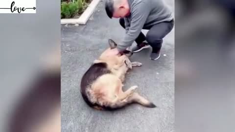 Ex-Police Dog 'Cries' After Reuniting With Handler She Hasn't Seen In Years