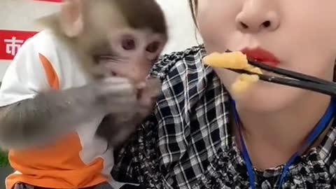 Very FUNNY monkey MUKBANG with Cute Girl