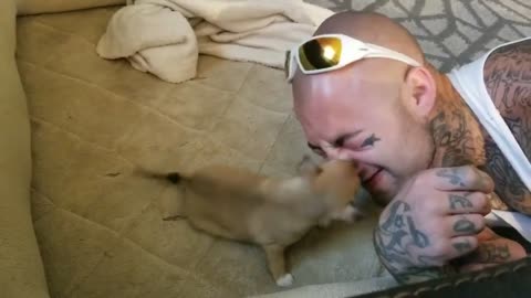 Puppy mistakes owner's nose for chew toy