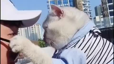 Human Cat with Sunglasses!