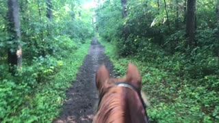 Grace- WARHORSE Endurance Conditioning 100 Mile Challenge