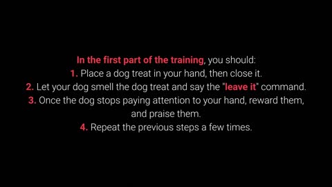 How to get your dog to listen to you?