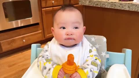 Funny and cute chubby babies will make you laugh/funny babies and animals home