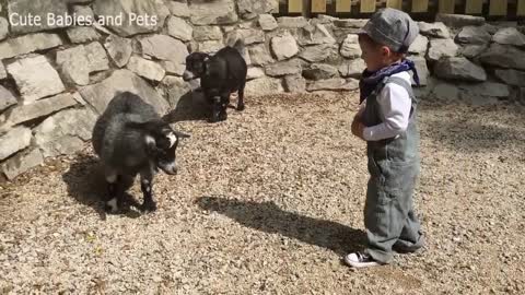 Baby Fanny The Cutest Kids and Animals