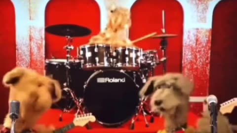 Rock band "Dogs"