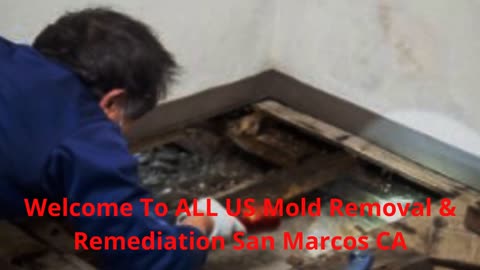 ALL US Mold Removal in San Marcos, CA