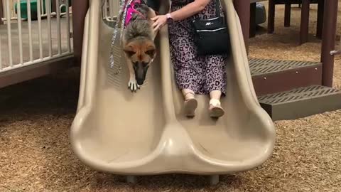 My German Shepherd and wife on a double slide in Fort Payne Alabama