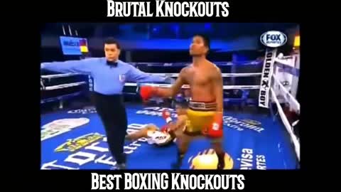 Best Pacquiao Knockouts