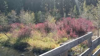 River in Idaho