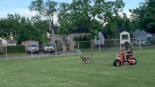 Dog running after my bike