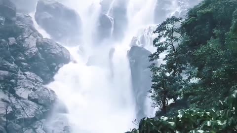 Dudhsagar Waterfalls creating a mesmerizing visual treat for visitors.