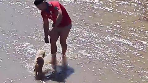 Man Saves Dog From Stream