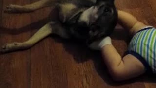 Dog Uses Baby's Kicking Feet For A Personal Back Rub